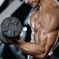 Os Melhores Exercícios para Bíceps