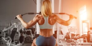 planilha de treino musculação