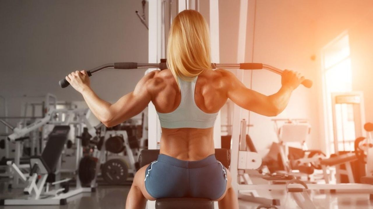 planilha de treino musculação